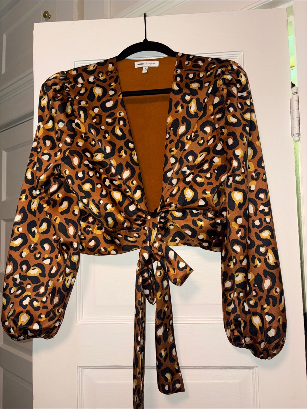 Express X LADYGANG Leopard Print Satin Tie-Front Crop Top and Skirt Set
